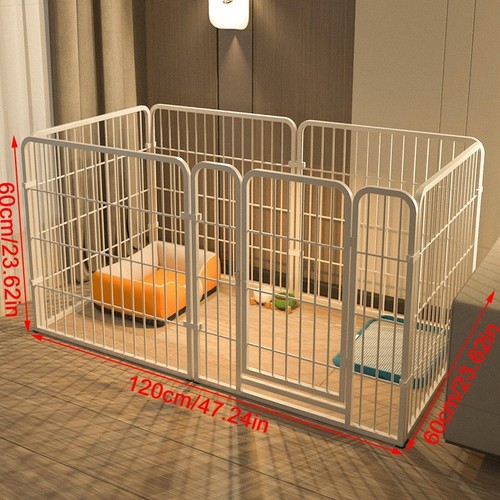 6panel dog pet puppy - 6panel,