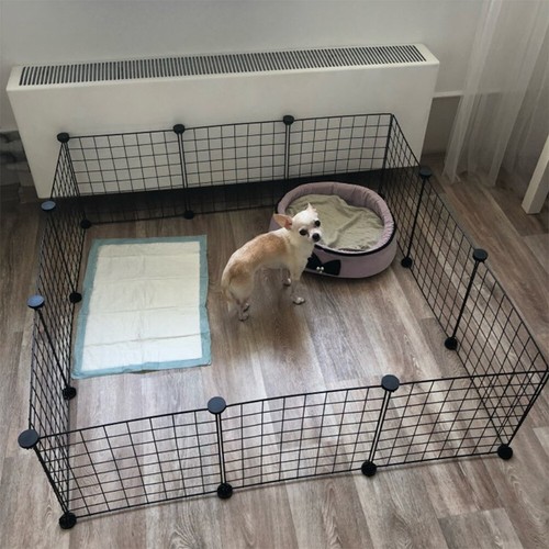 Panel dog puppy - 12, play