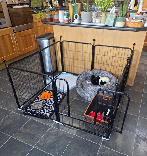 Houshery metal indoor dog - houshery,