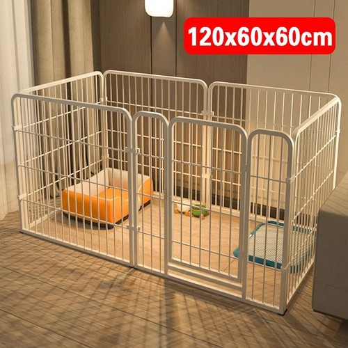 6panel dog pet puppy - 6panel,